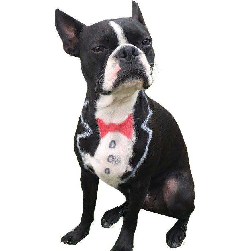 Pet Supplies D793431