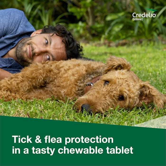 Chewable Tablet for Dogs W179