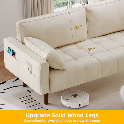 67" Velvet Loveseat Sofa with 2 Pillows N4355