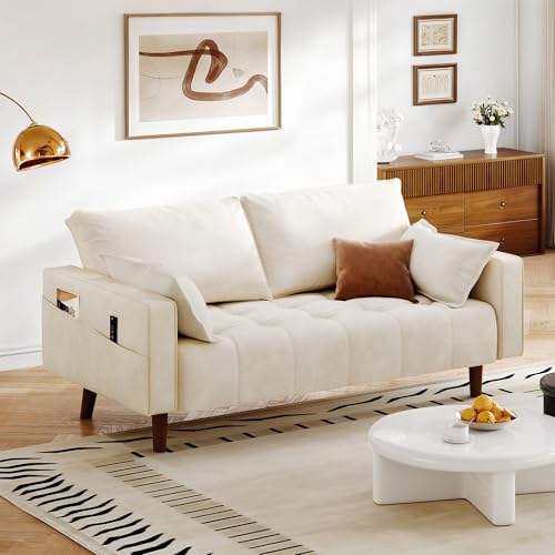67" Velvet Loveseat Sofa with 2 Pillows N4355
