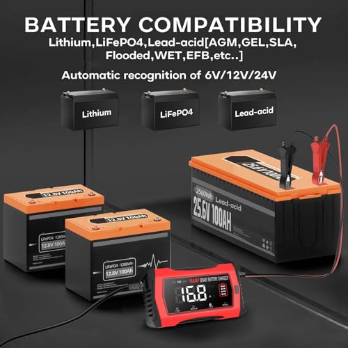 16 Amp 6V 12V 24V Battery Charger V2793