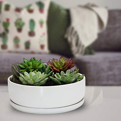 8 inch White Round Ceramic Planter with Removable Saucer E8907