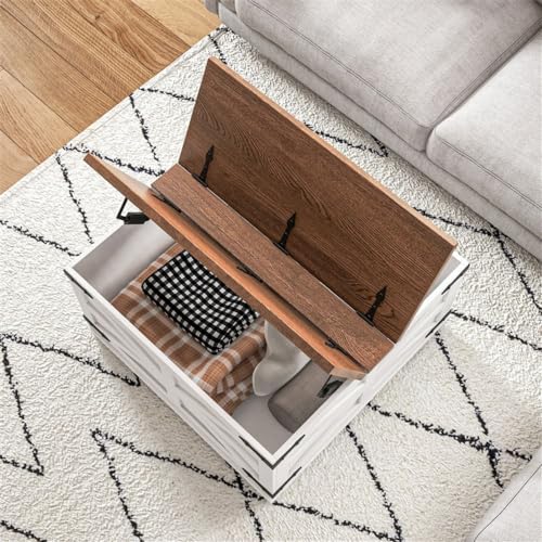 Distressed White & Brown Square Storage Coffee Table with Hinged Lift Top D934813