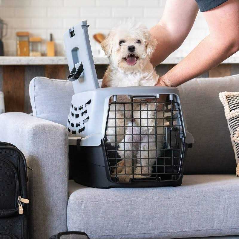 Small Pet Travel Carrier with Front and Top Access V7602