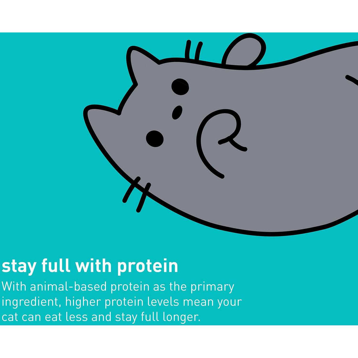 Wet Cat Food S84082