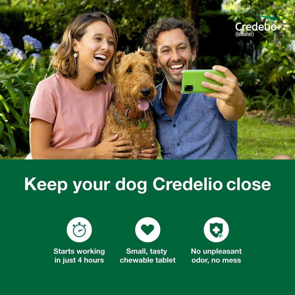 Chewable Tablet for Dogs W179