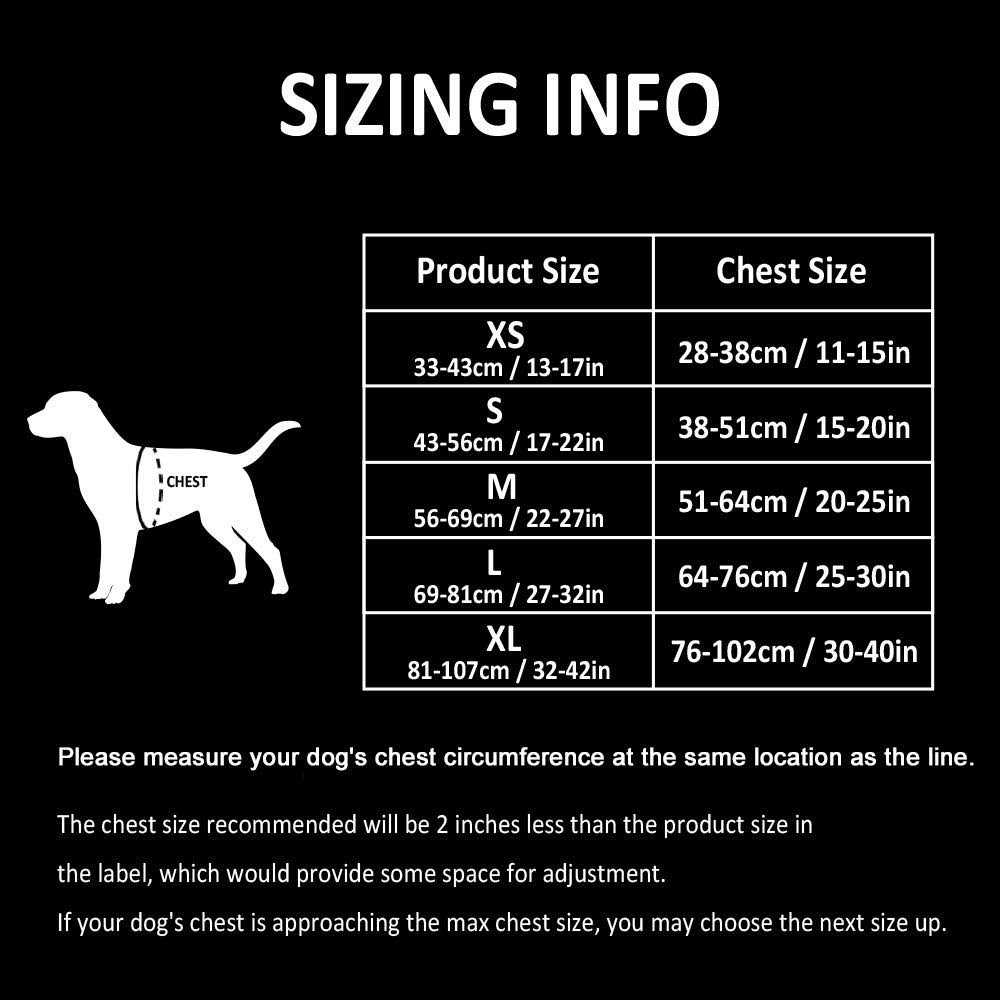 Reflective Dog Harness and Leash R893607