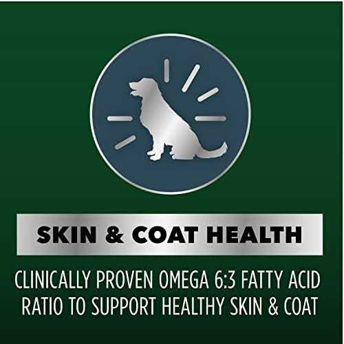 Chicken and Salmon Recipe Dry Dog Food D749
