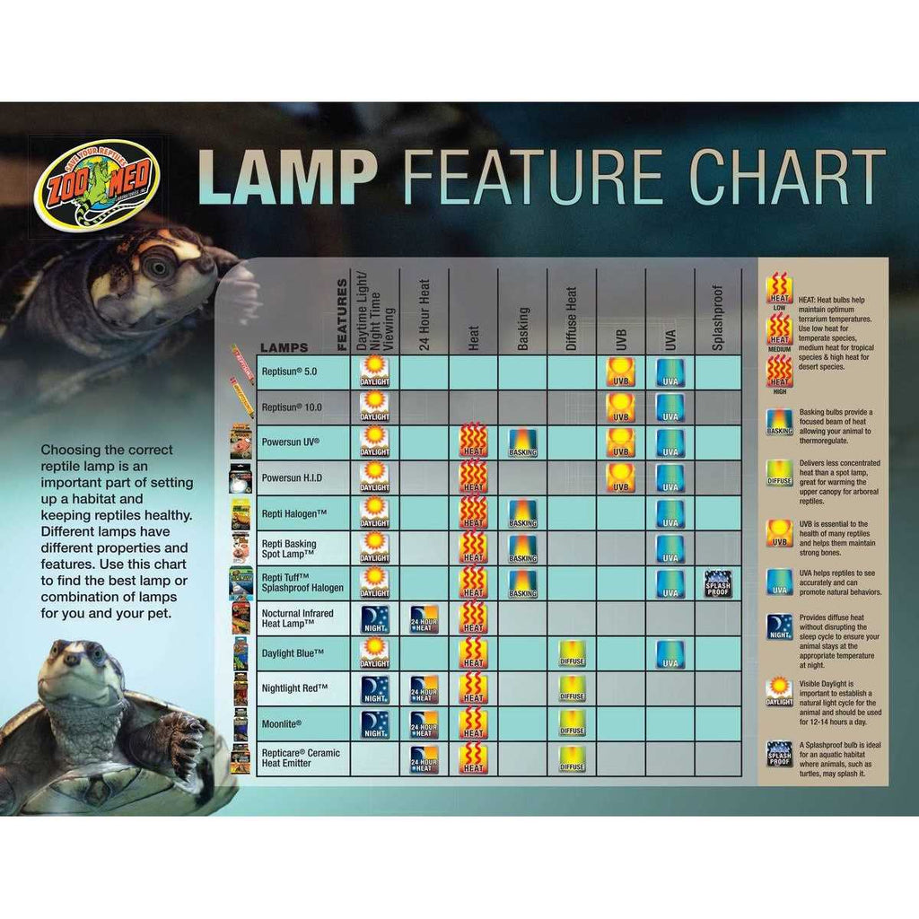 Basking Combo Pack D2566