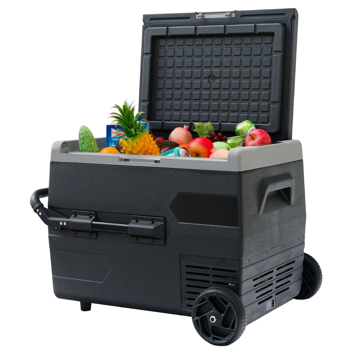 65L 12V/24V Electric Compressor Cool Box Y1942