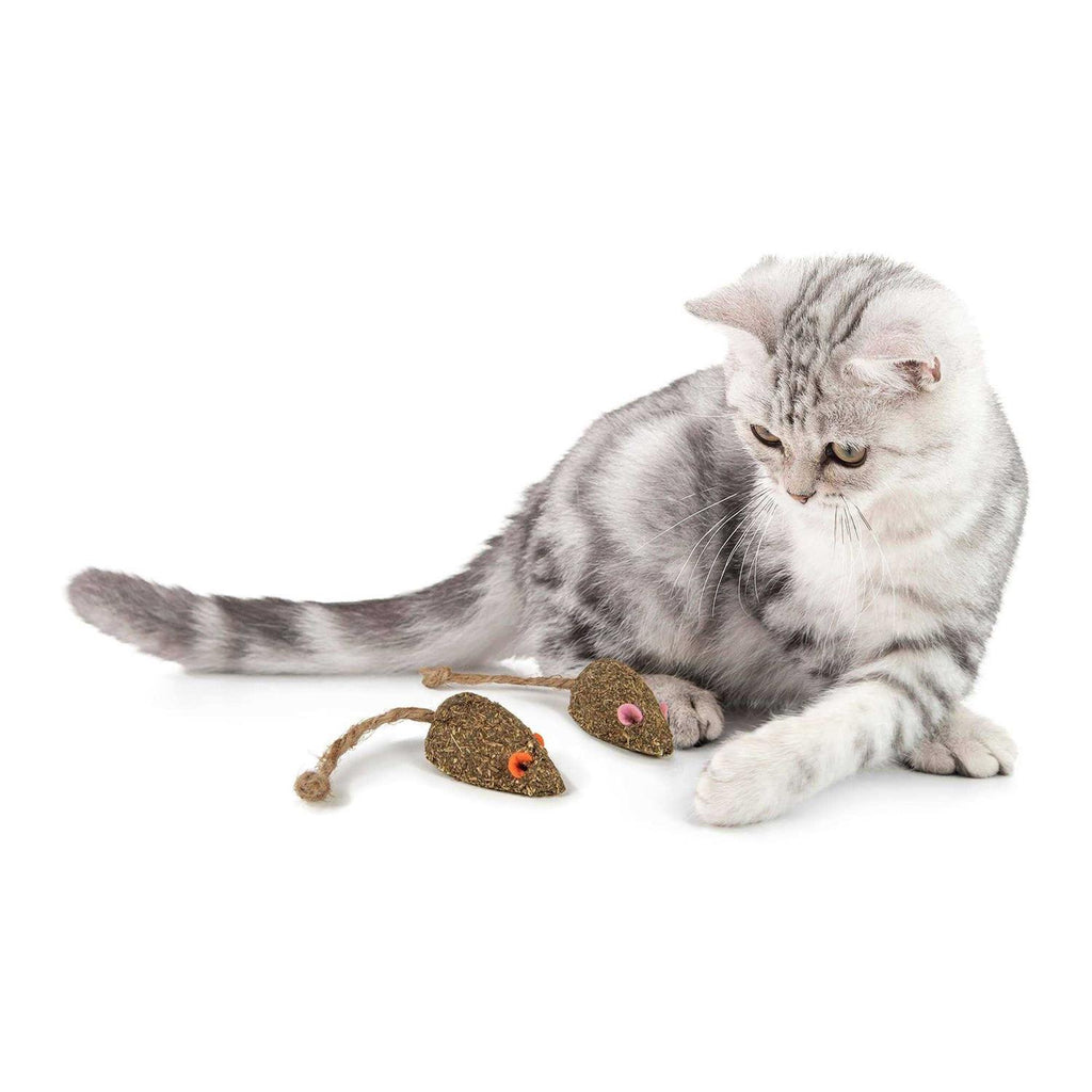 Cat Toy R921