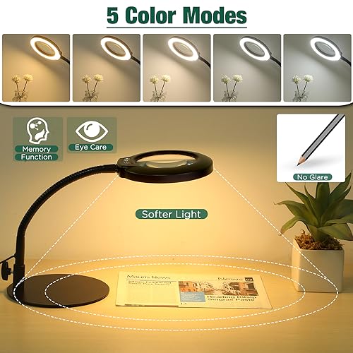 10X Magnifying Glass with Light and Stand, Flexible Gooseneck Magnifying Desk Lamp D152