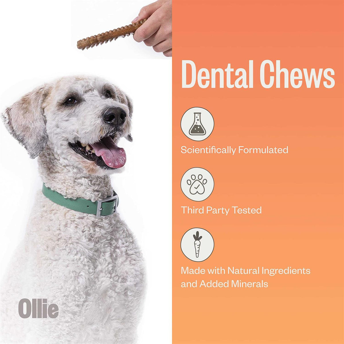 Dental Chews For Dogs Y207