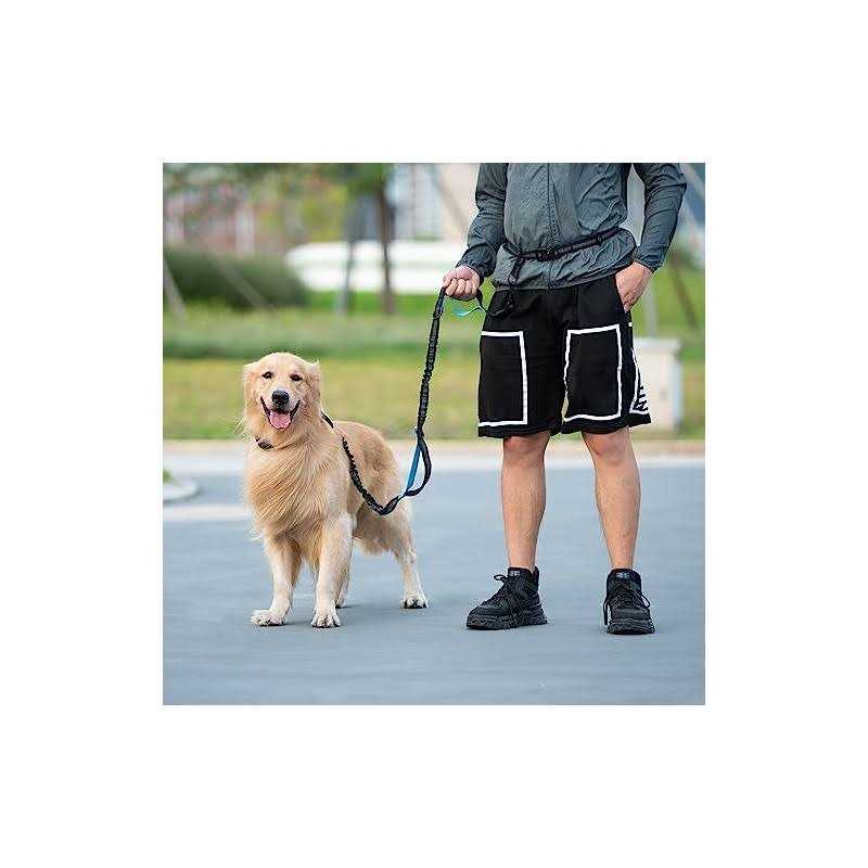 Hands Free Dog Leash with Zipper Pouch and Padded Handles S7804