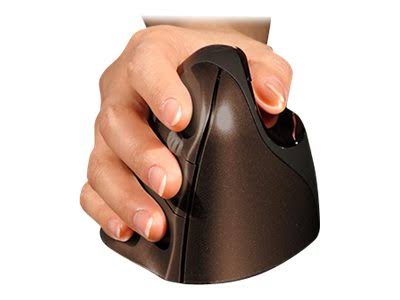 Wireless Optical Mouse U495304