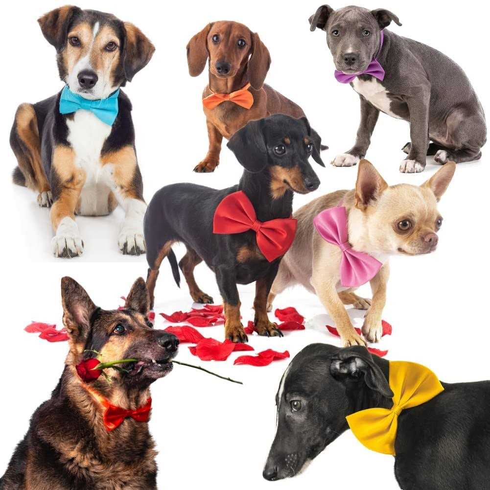 50Pcs Dog Bow Ties with Adjustable Collar C754