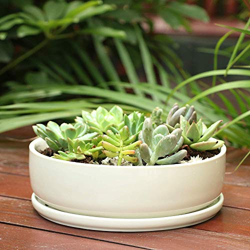 8 inch White Round Ceramic Planter with Removable Saucer E8907