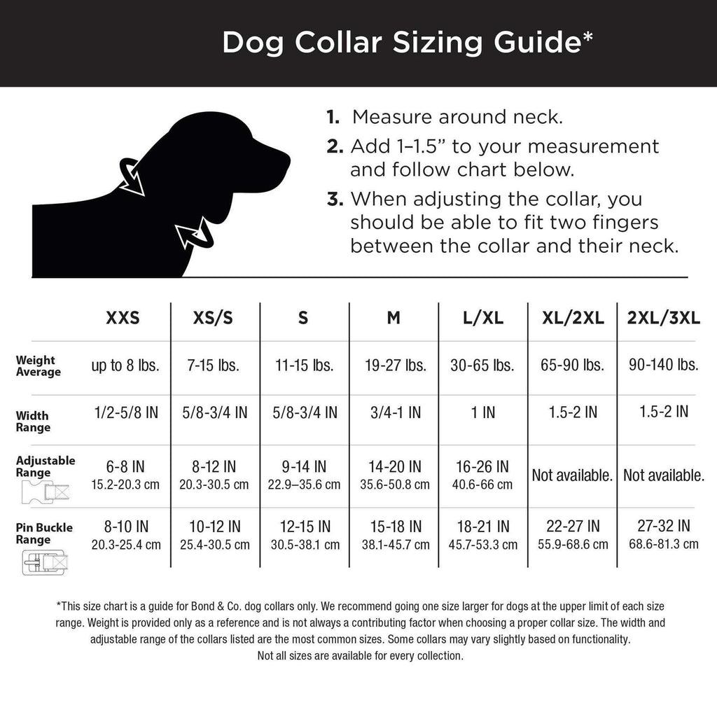 Neoprene Padded Dog Collar I653