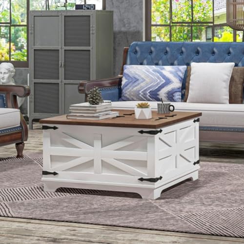 Distressed White & Brown Square Storage Coffee Table with Hinged Lift Top D934813
