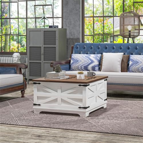 Distressed White & Brown Square Storage Coffee Table with Hinged Lift Top D934813