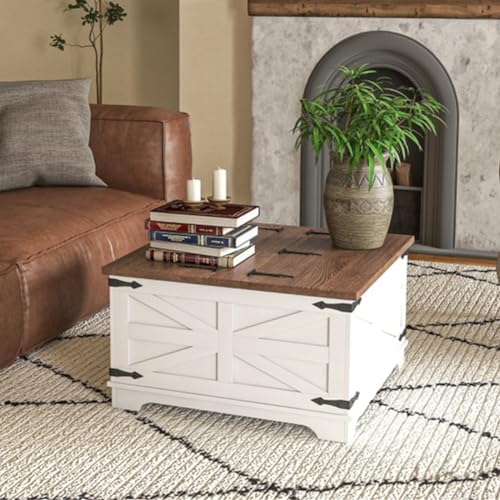 Distressed White & Brown Square Storage Coffee Table with Hinged Lift Top D934813