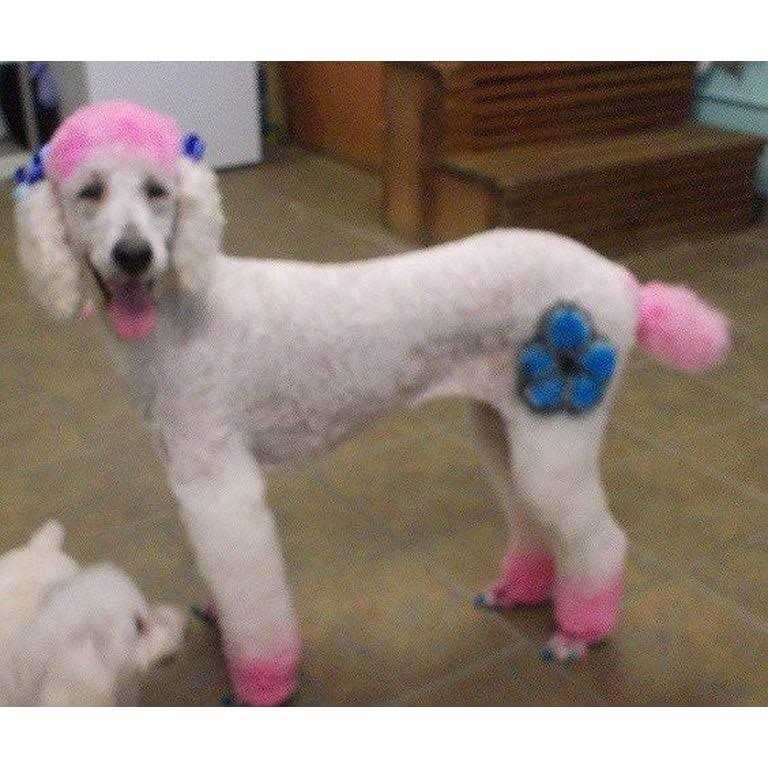 Pet Supplies D793431