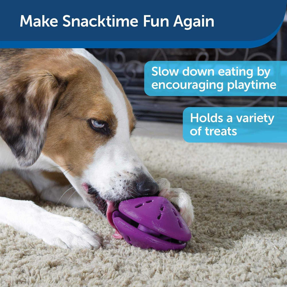Dog Toy N95378
