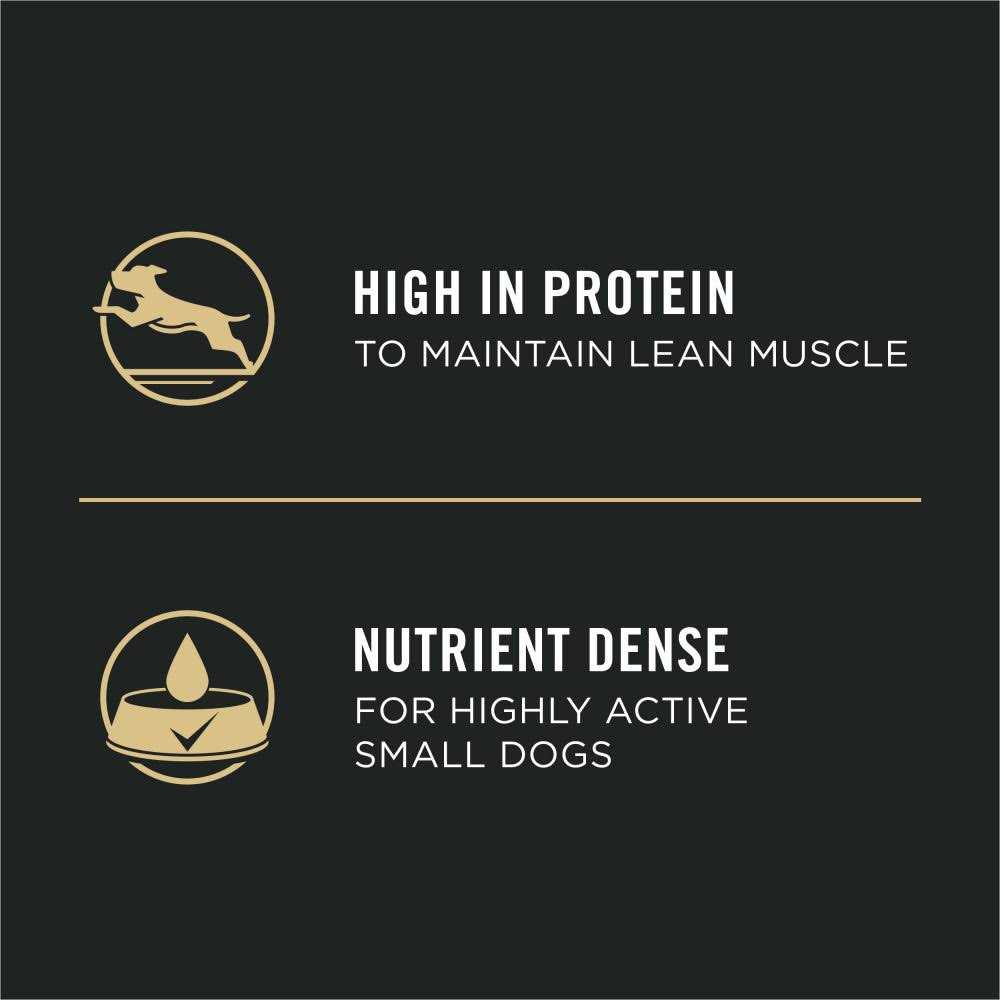 Adult Wet Dog Food S102502