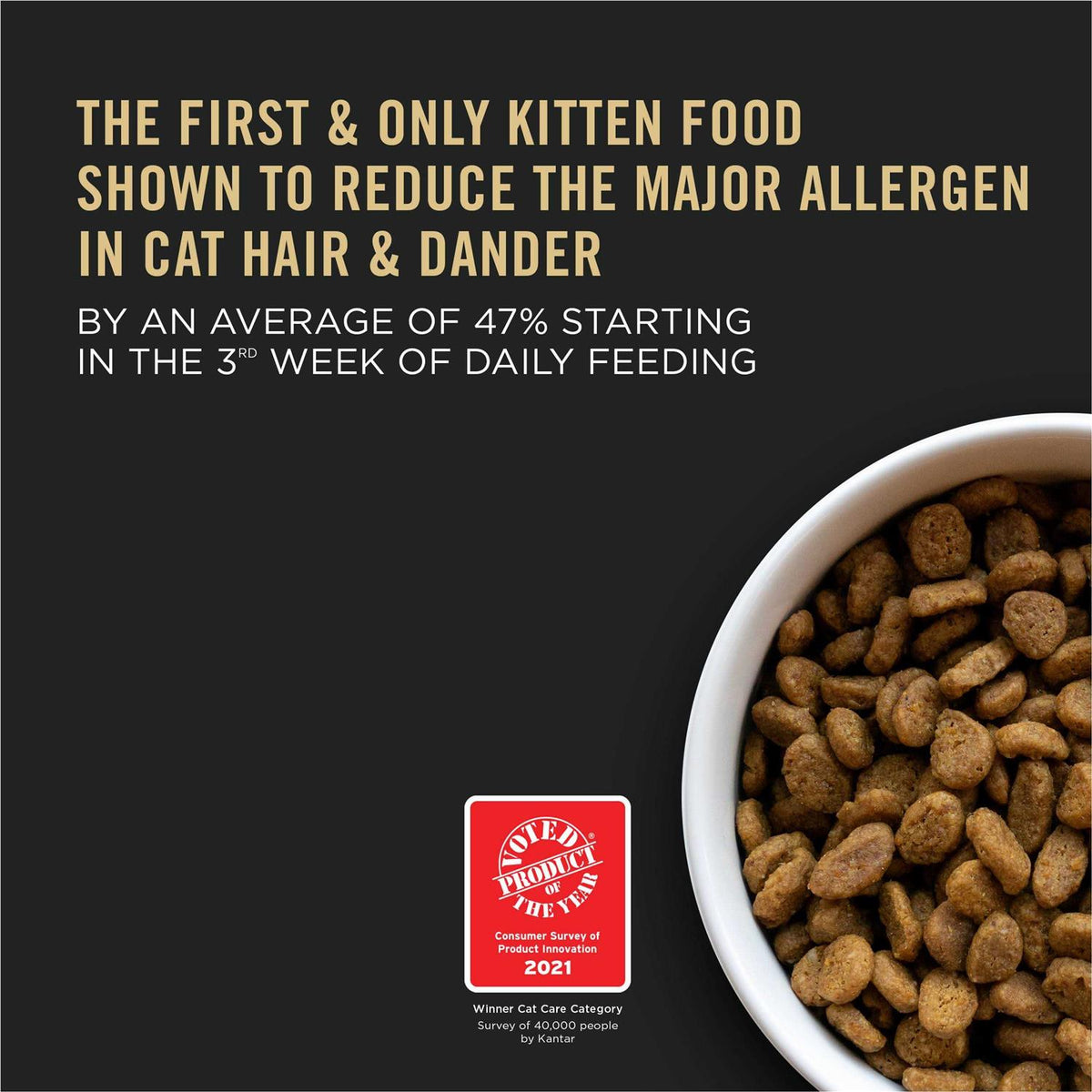 Chicken & Rice Dry Cat Food for Kittens X87522