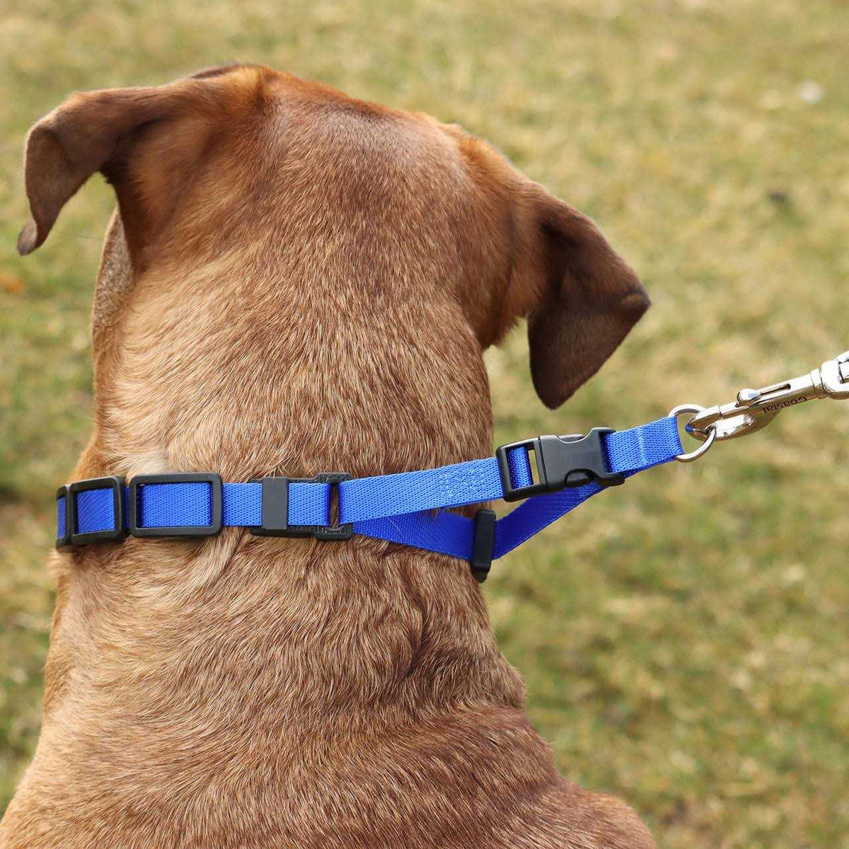 Natural Control Training Collar U94864