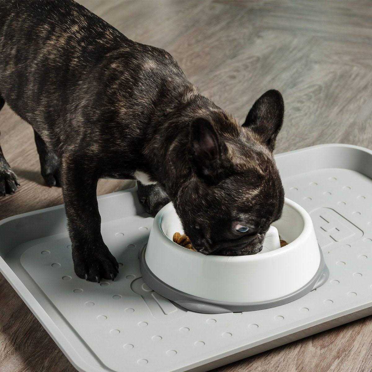 Slow Feeding Bowl R163235