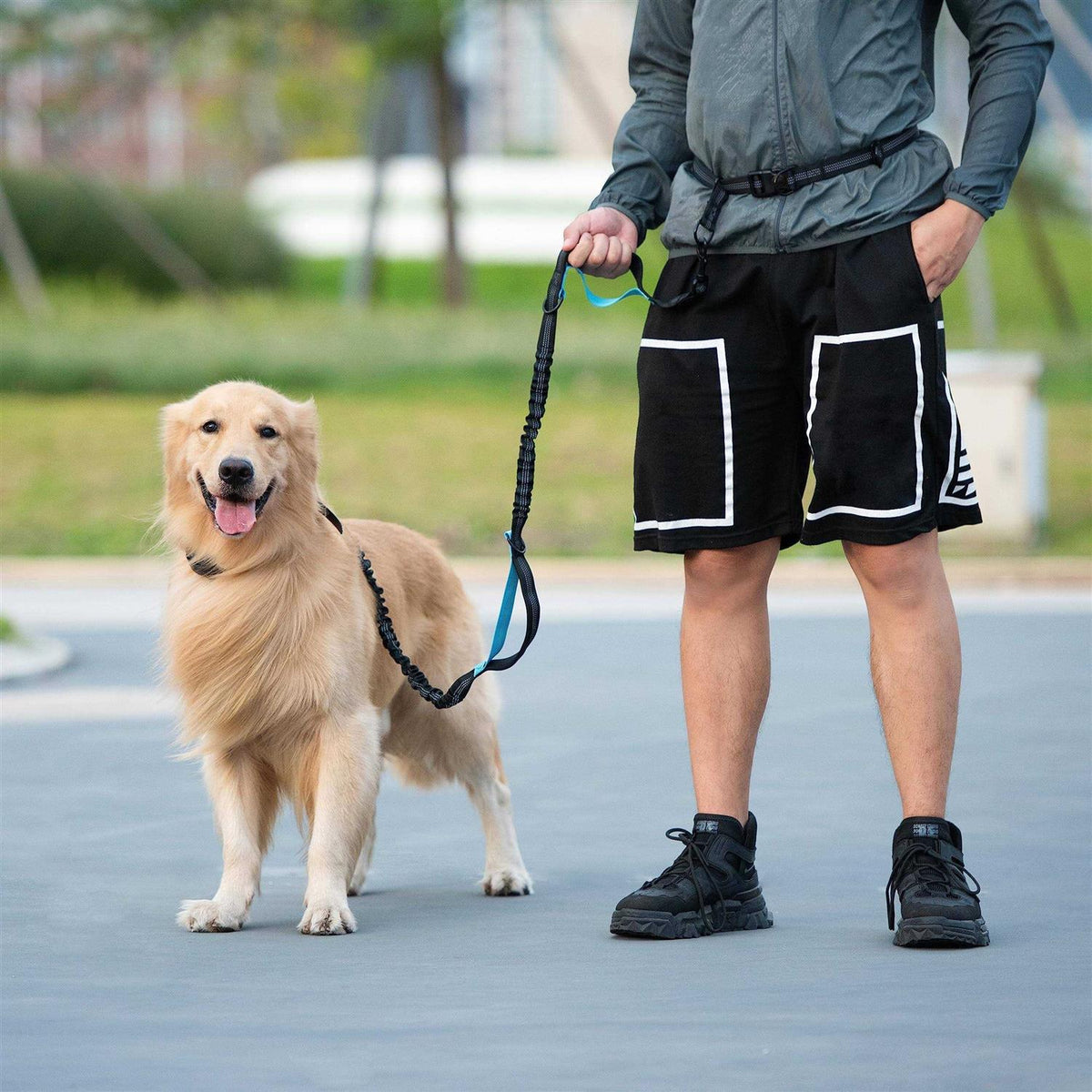 Hands Free Dog Leash with Zipper Pouch and Padded Handles S7804