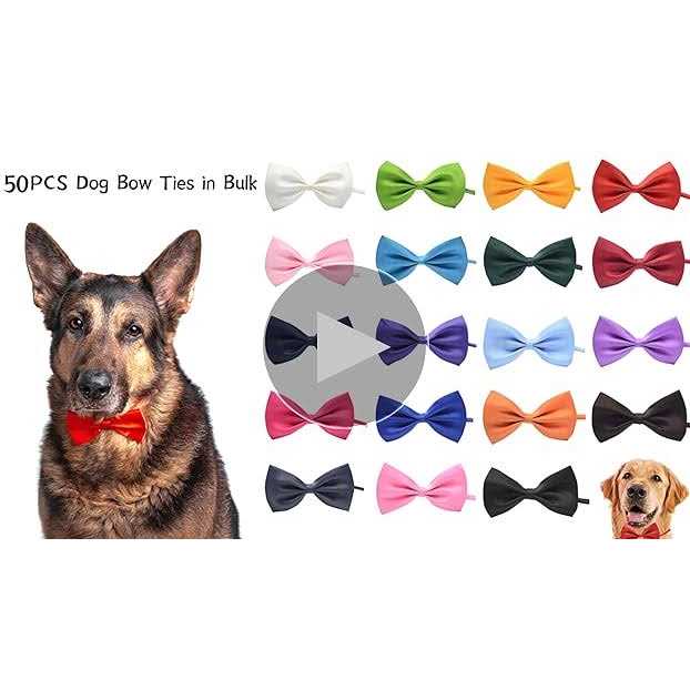 50Pcs Dog Bow Ties with Adjustable Collar C754