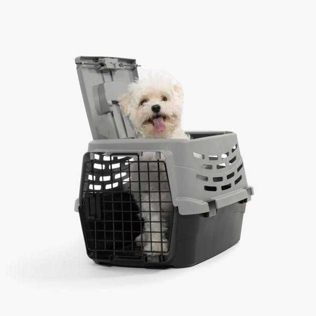 Small Pet Travel Carrier with Front and Top Access V7602