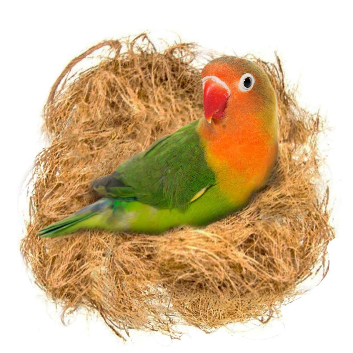 Coconut Fiber Loose Bedding Substrate B599389