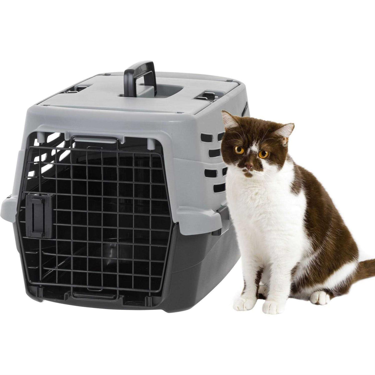 Small Pet Travel Carrier with Front and Top Access V7602