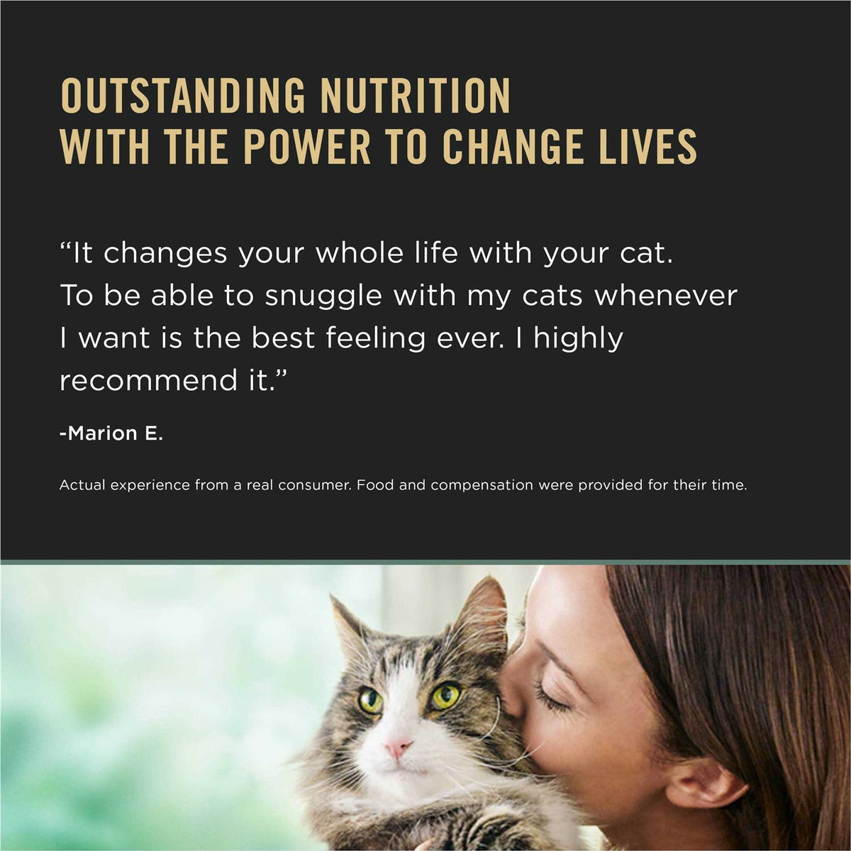 Chicken & Rice Dry Cat Food for Kittens X87522