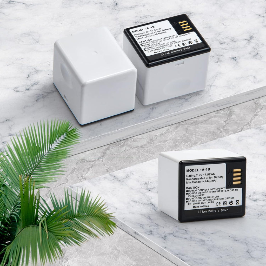 2-Pack 2440mAh Rechargeable Battery Y2118