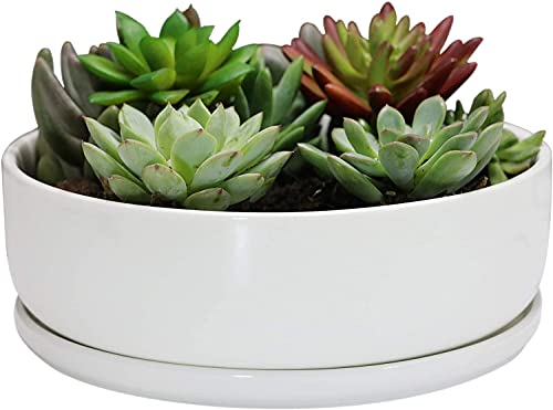8 inch White Round Ceramic Planter with Removable Saucer E8907