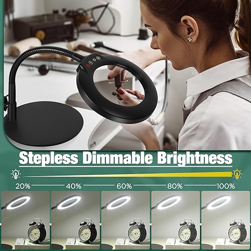 10X Magnifying Glass with Light and Stand, Flexible Gooseneck Magnifying Desk Lamp D152