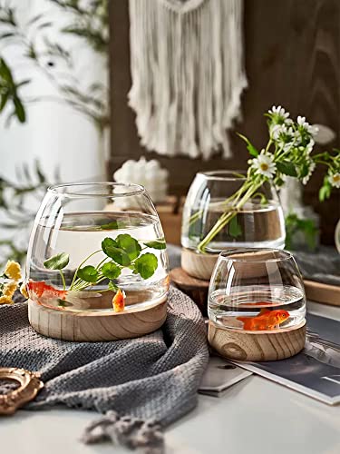Glass Vase with Wooden Support Base, Clear Glass Bubble Vase, 1pcs (B 23 × 22 × 20 cm) L5720