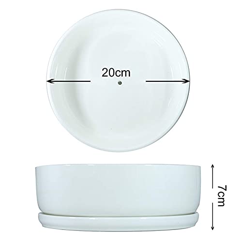 8 inch White Round Ceramic Planter with Removable Saucer E8907