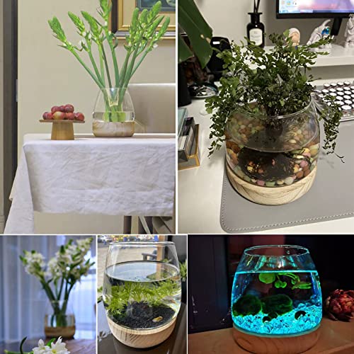 Glass Vase with Wooden Support Base, Clear Glass Bubble Vase, 1pcs (B 23 × 22 × 20 cm) L5720