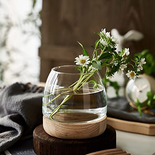 Glass Vase with Wooden Support Base, Clear Glass Bubble Vase, 1pcs (B 23 × 22 × 20 cm) L5720
