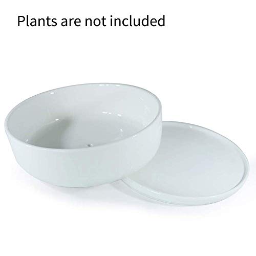 8 inch White Round Ceramic Planter with Removable Saucer E8907