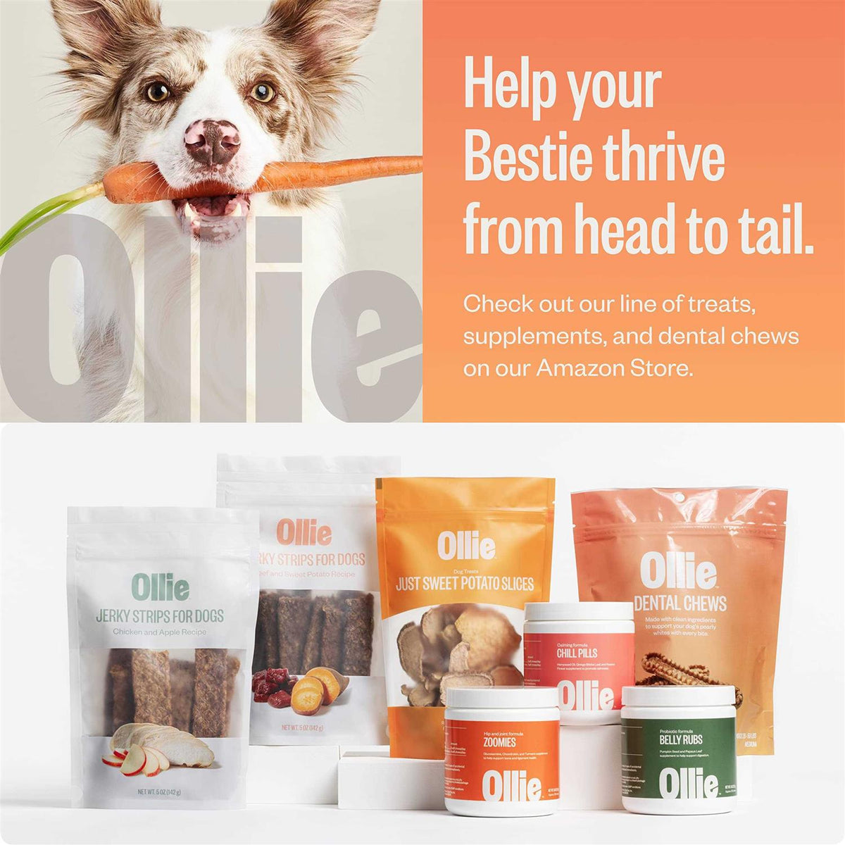 Dental Chews For Dogs Y207