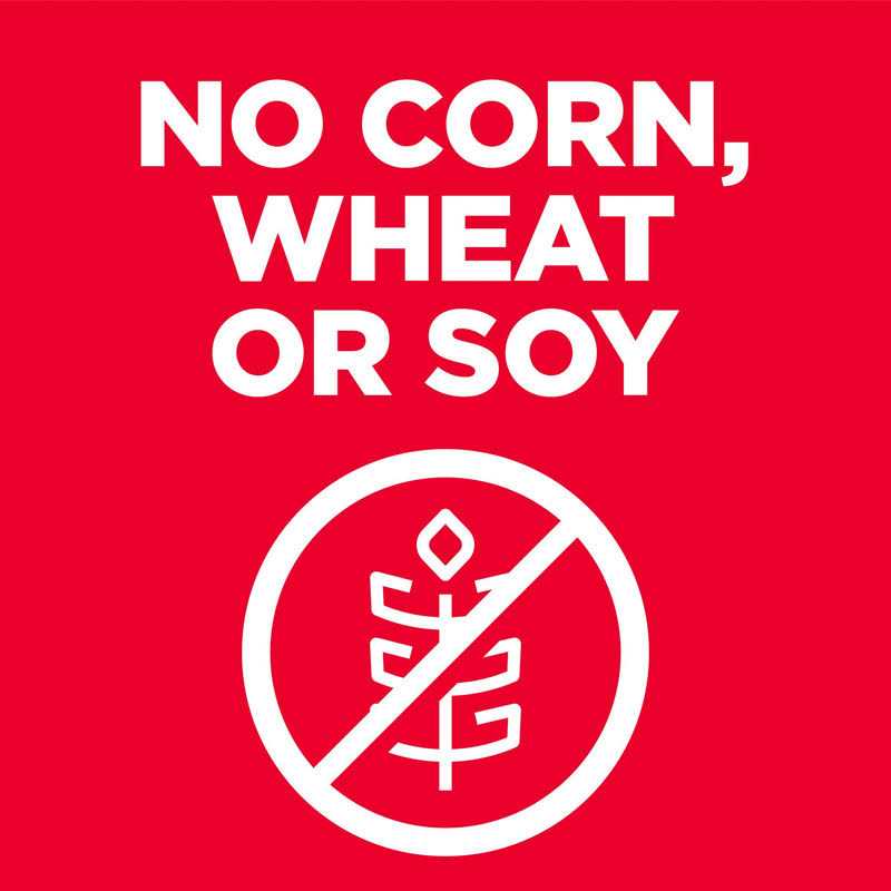 7+ No Wheat Corn Soy Cat Food F7967