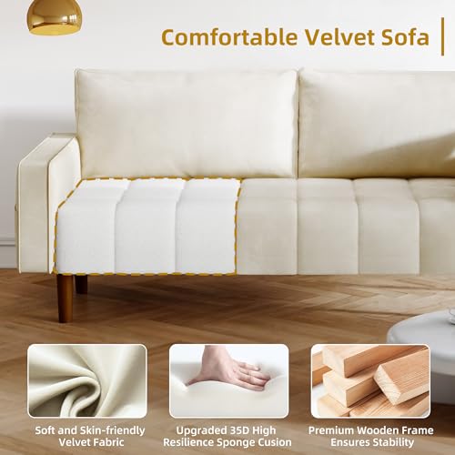 67" Velvet Loveseat Sofa with 2 Pillows N4355