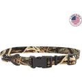 Adjustable Dog Collar R614686