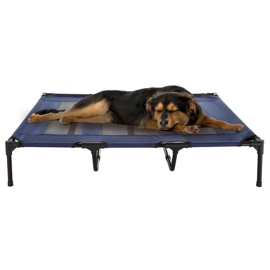 Elevated Pet Bed I879674